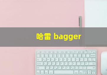 哈雷 bagger